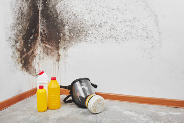 Water Damage Restoration in Wellton, AZ